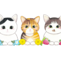 8月8日(土)開催・猫イベント(仮)