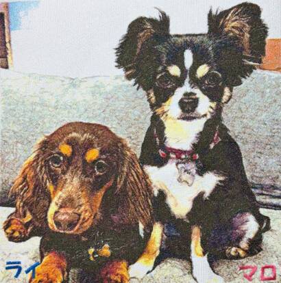 Gallery item